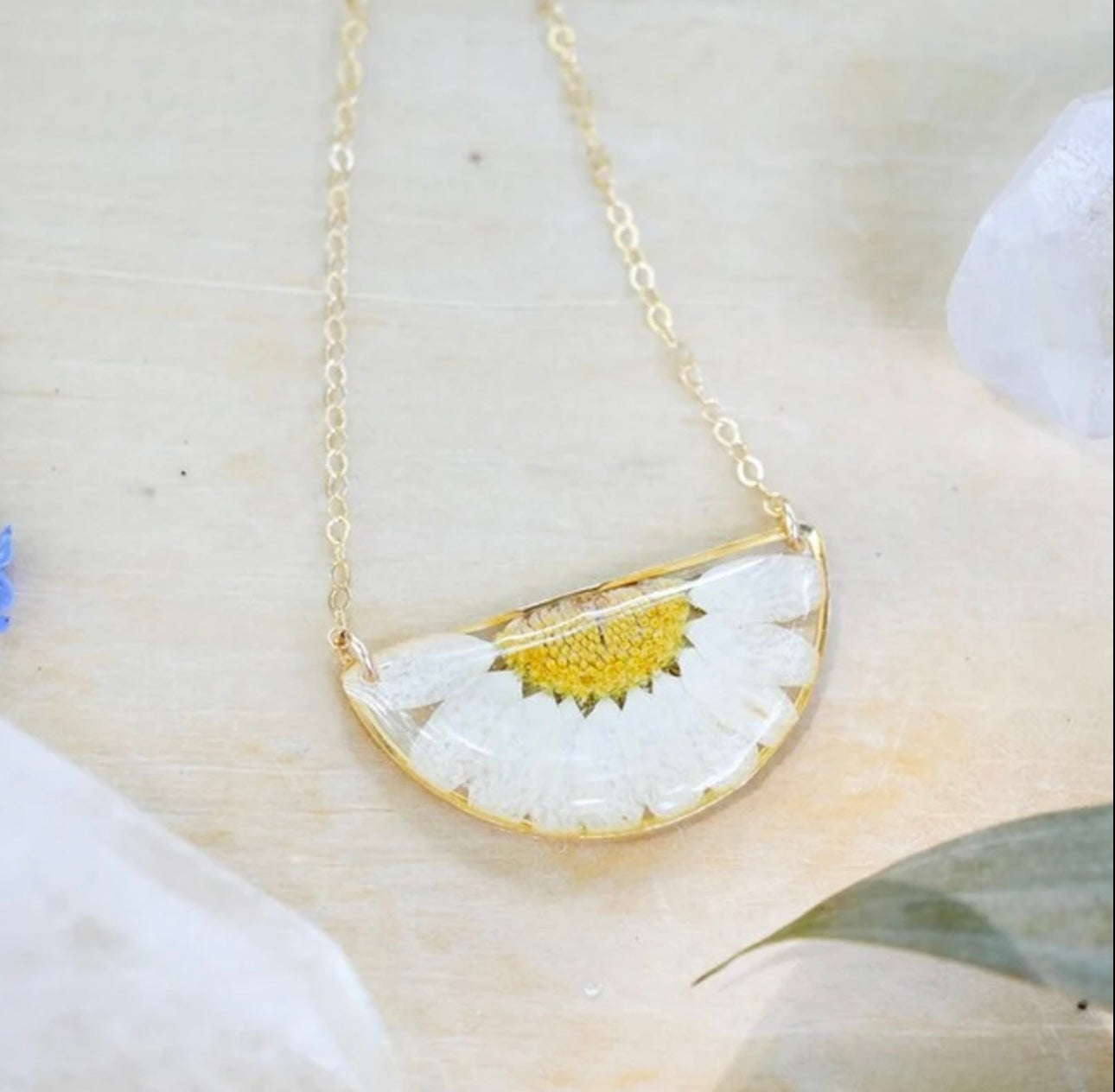 Pendant with Real Half Daisy Flower