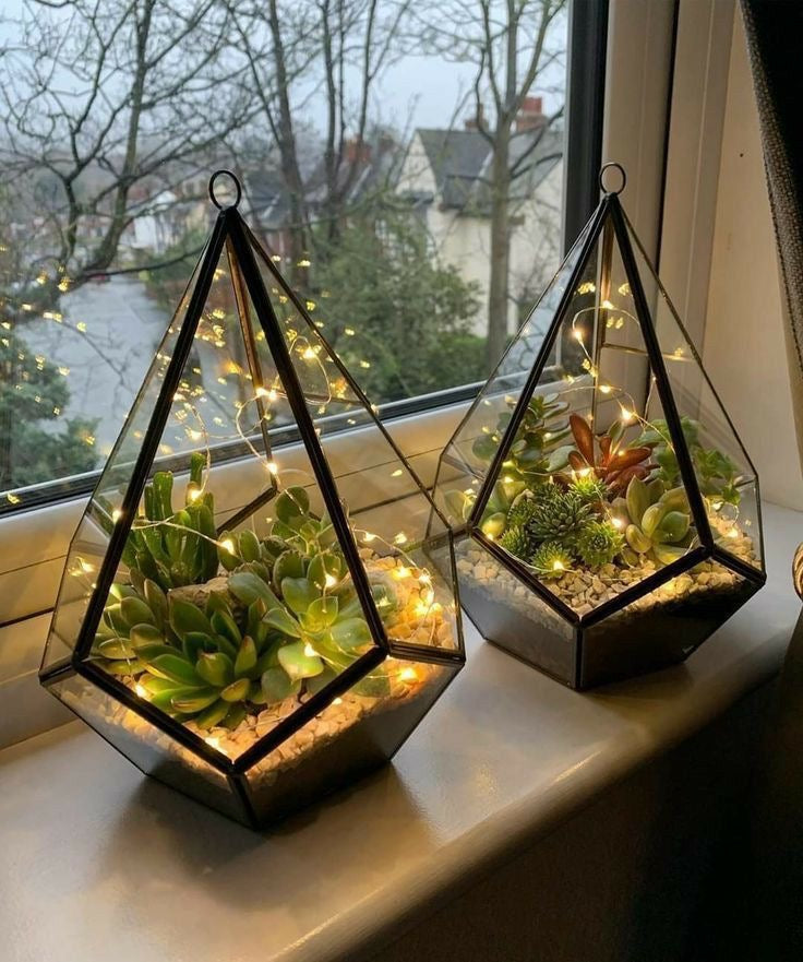Antique Brass Terrarium - Black