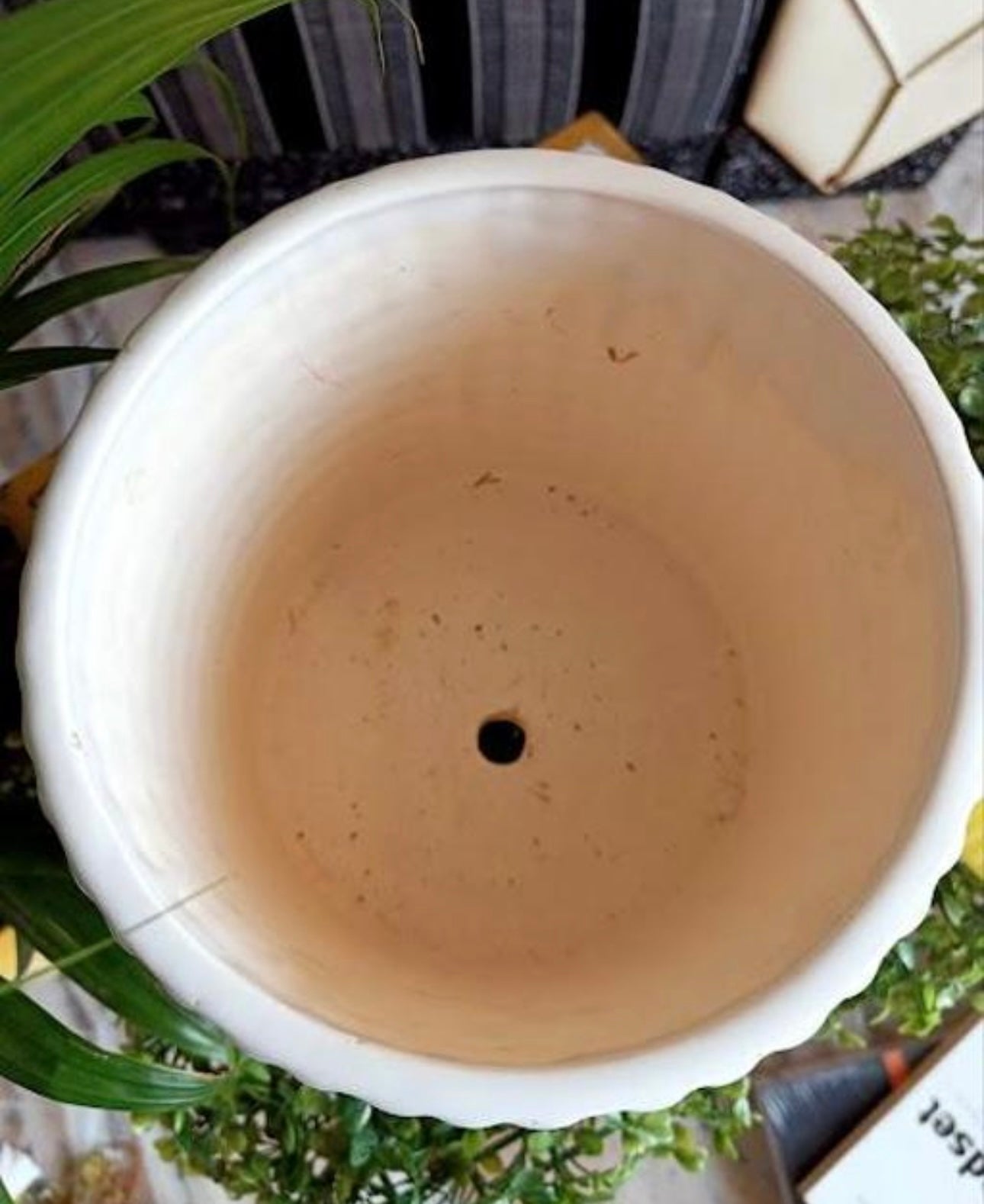 Bubble Knobbed White Vase/Planter