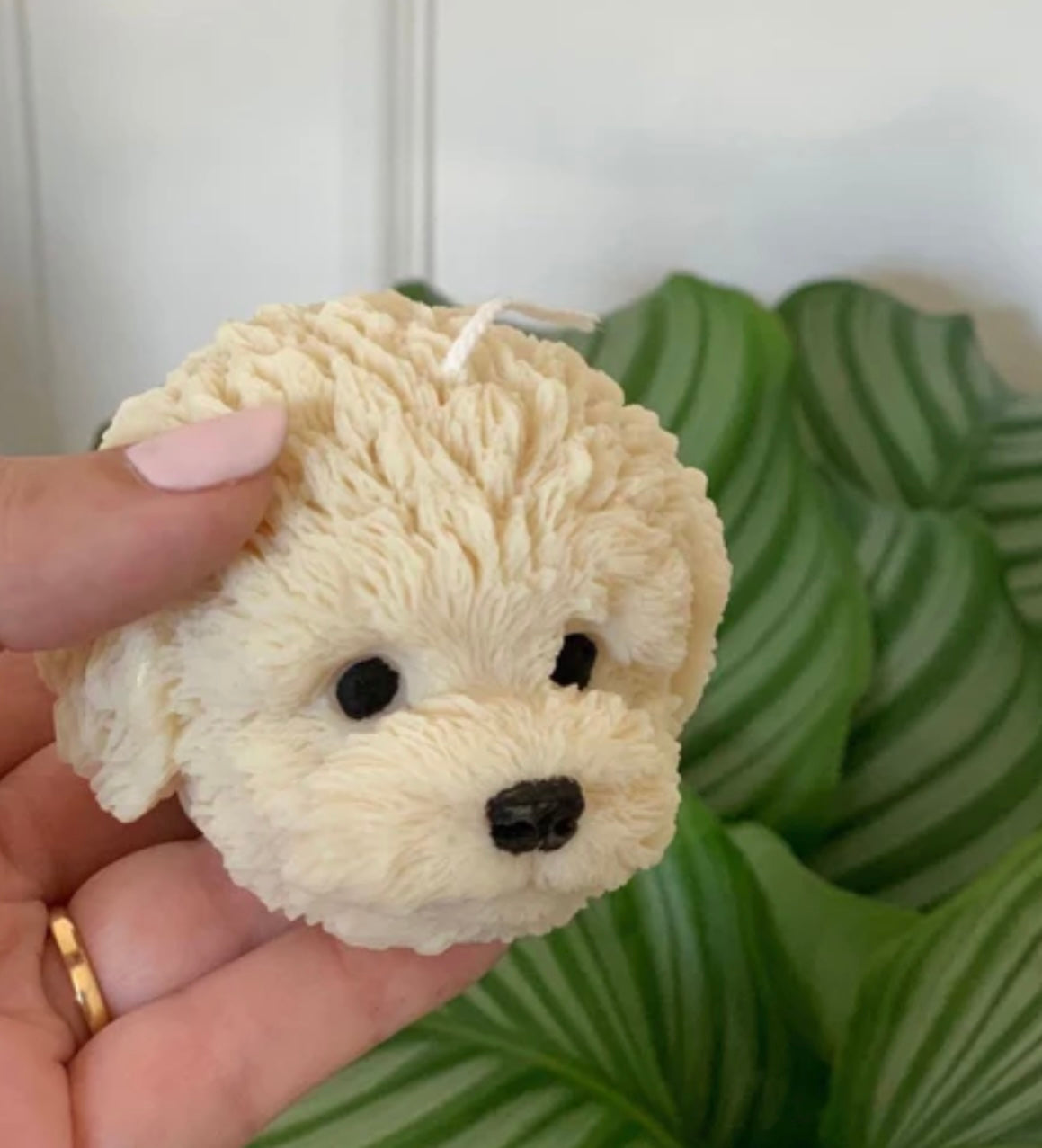 Cute Bichon Dog Candles