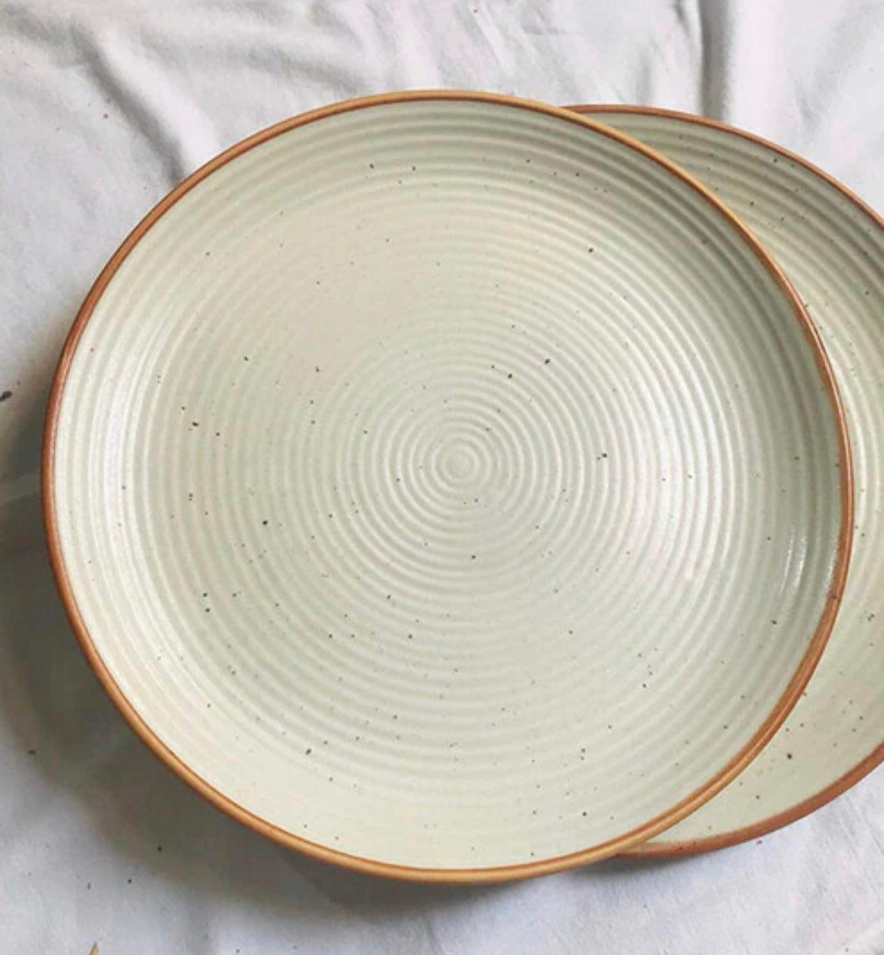 Handcrafted Stoneware Ceramic Large Dinner Plates - Set of 2