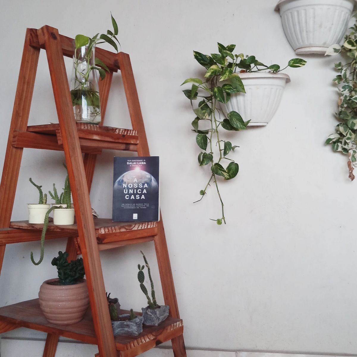 Decorative Multipurpose Pine Wood 3-Tier Ladder Shelves