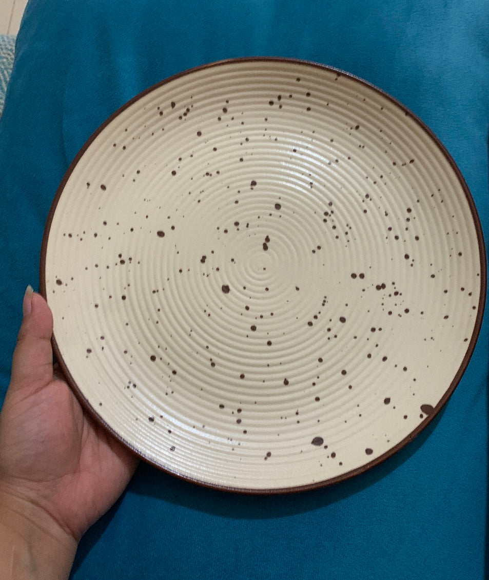 Classic Stoneware Dinner Plates Set of 2