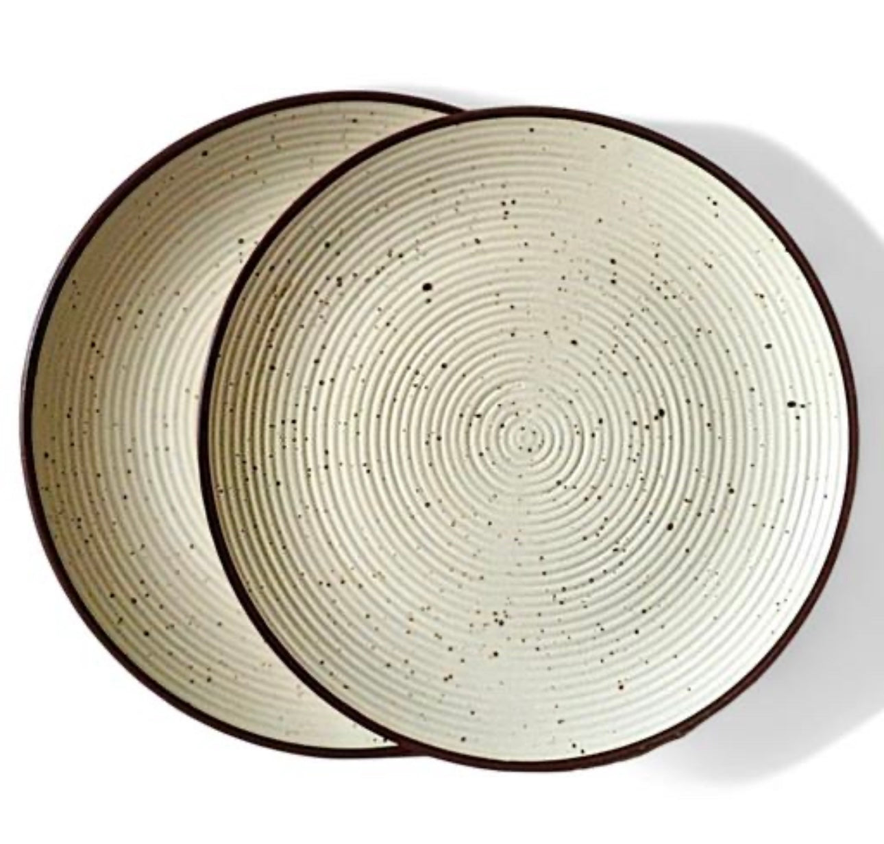 Classic Stoneware Dinner Plates Set of 2