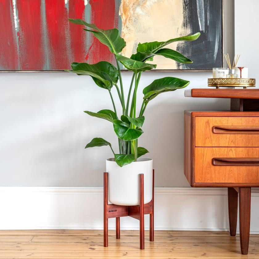 Exotic Tropical Artificial Plant