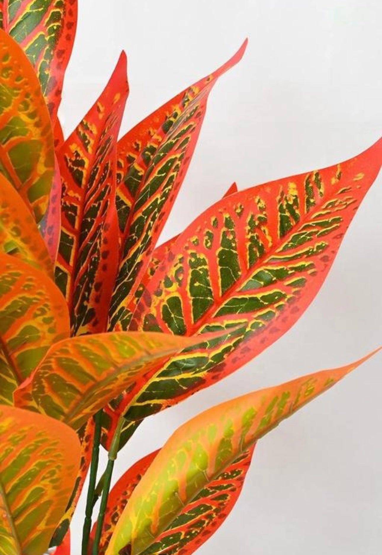 Exclusive Real Looking Croton Plant Sticks