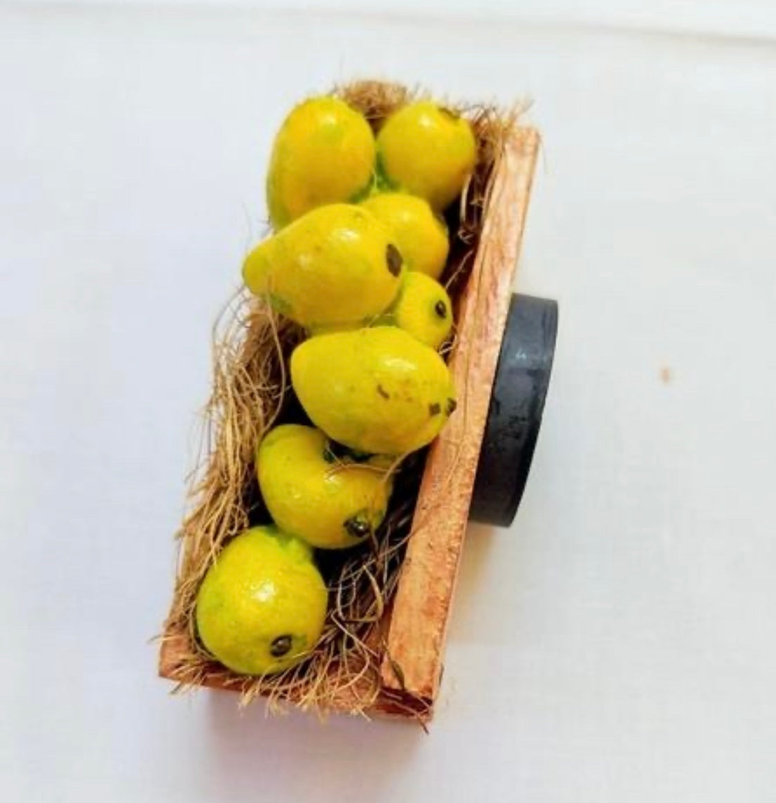 Mango Basket Miniature Fridge Magnet