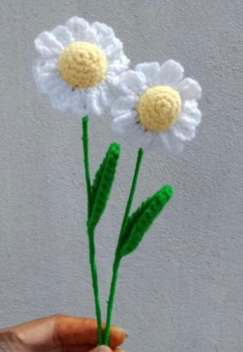 Crochet Daisy Flowers - Set of 2
