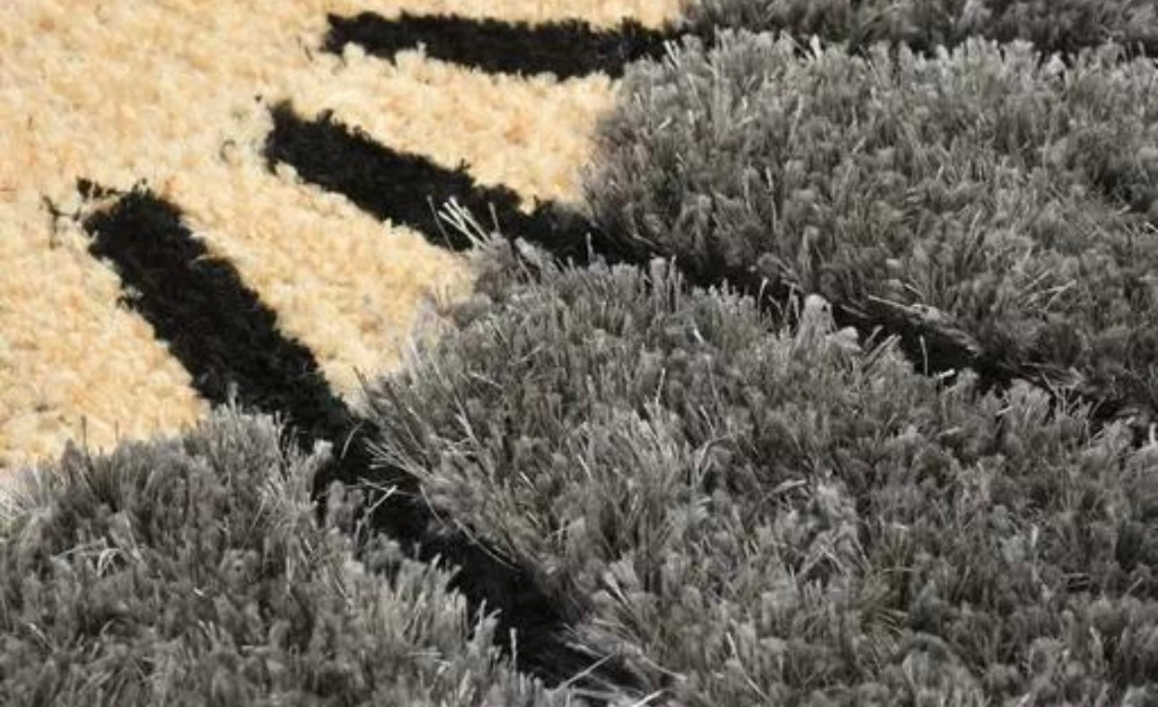 Half Sunflower Anti-Skid Fluffy Doormat