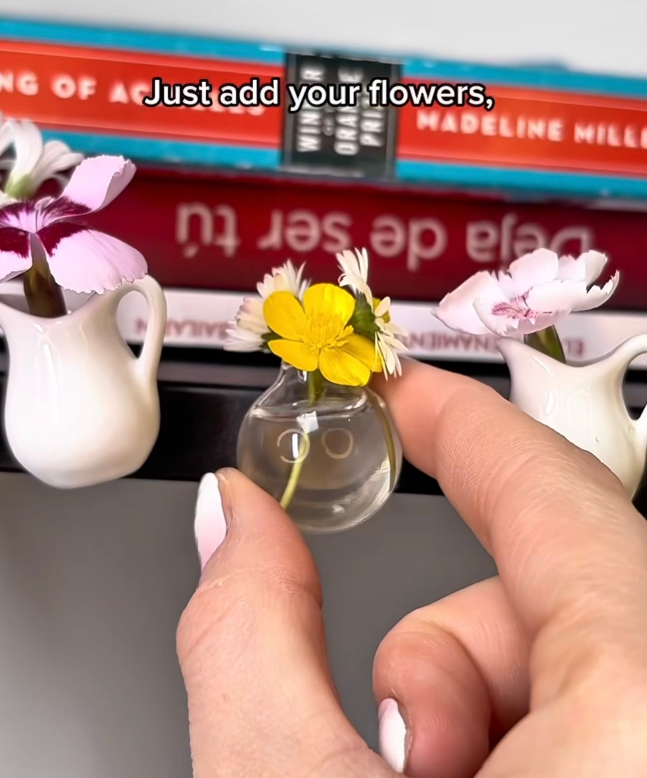 Cute Miniature Vase with Magnets (Only Pots, Flowers not included)