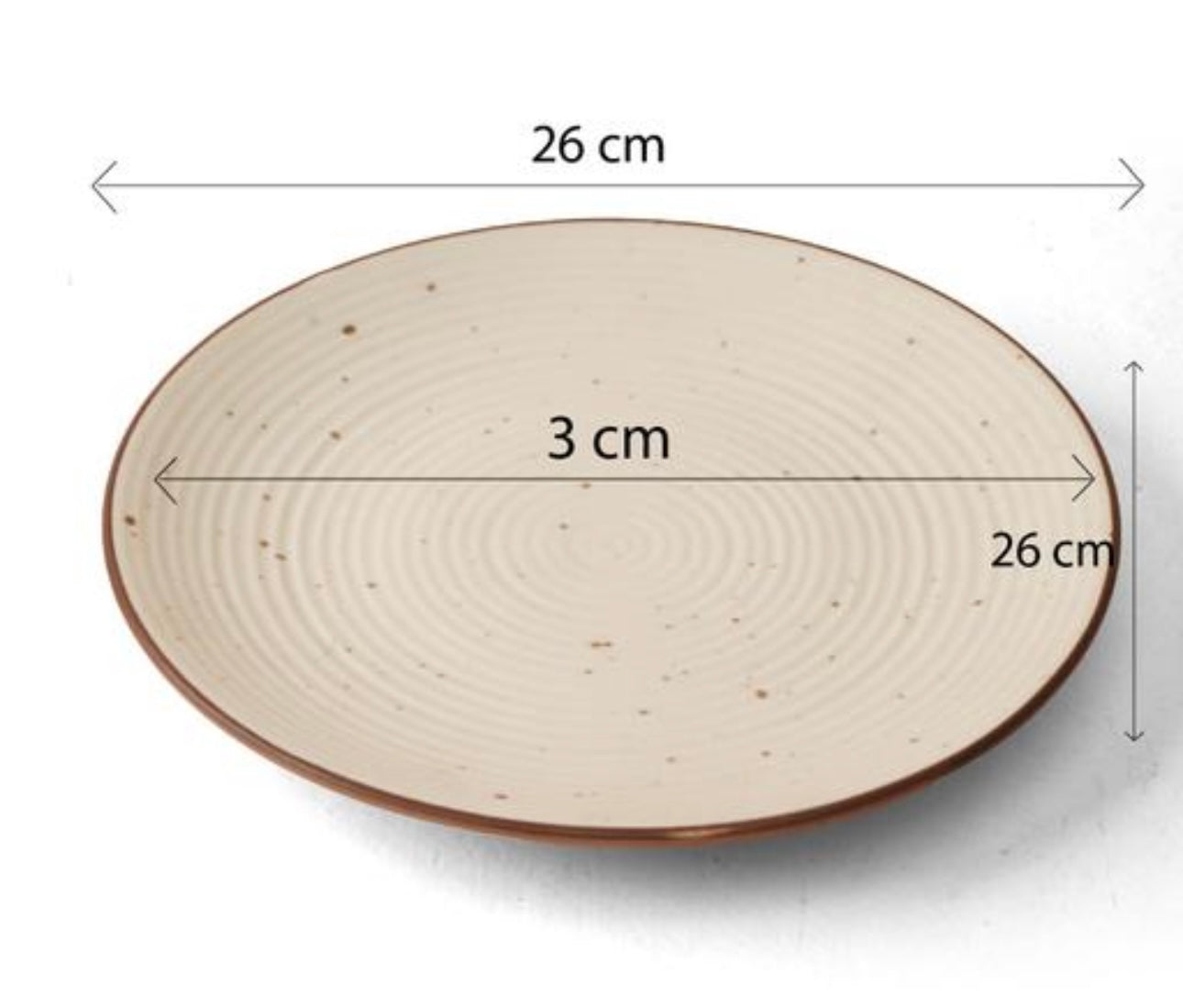 Classic Stoneware Large Size Dinner Plates - Set of 2
