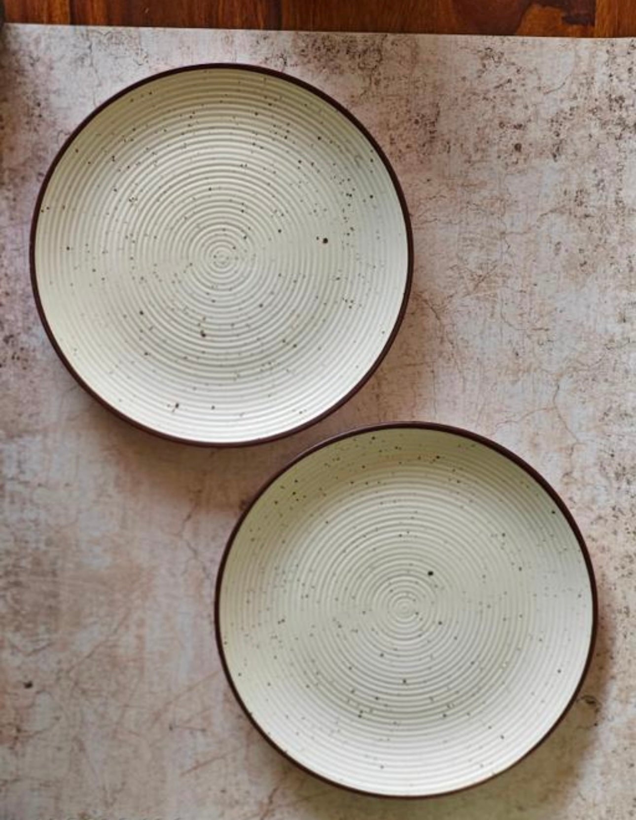 Classic Stoneware Dinner Plates Set of 2
