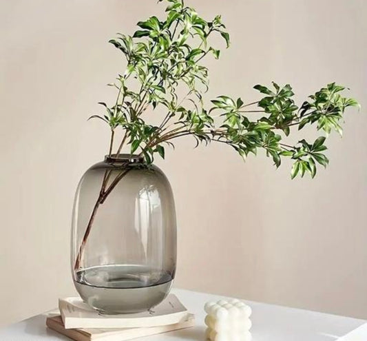 Decorative Clear Black Oval Vase
