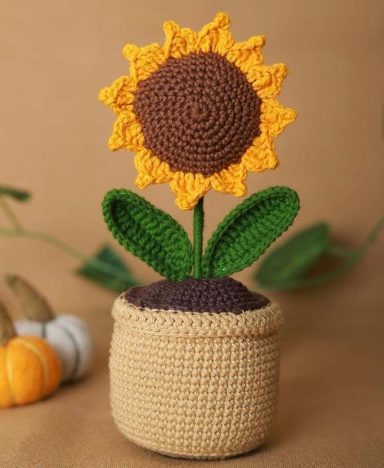 Handmade Crochet Sunflower Plant Pot