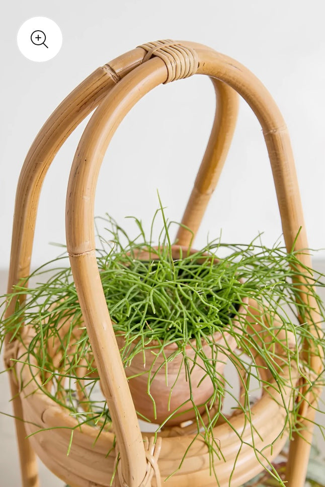 2-Tier Rattan Bamboo Planter