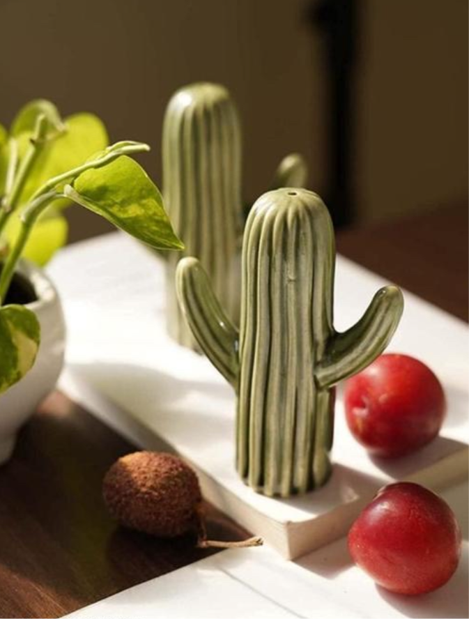 Cute Cactus Salt & Pepper Shaker Set