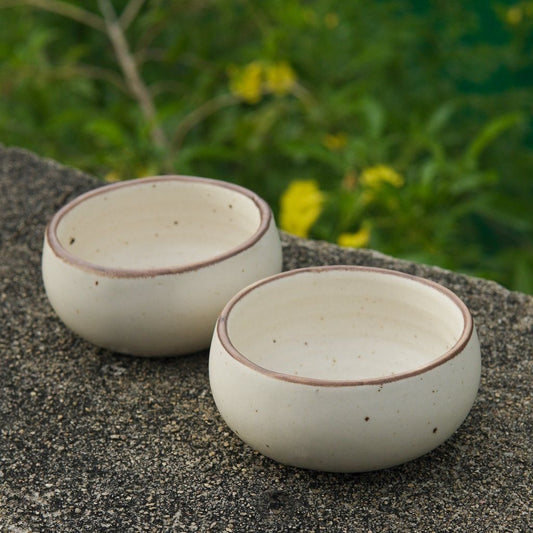 Elegant Stoneware Ceramic Bowls Set
