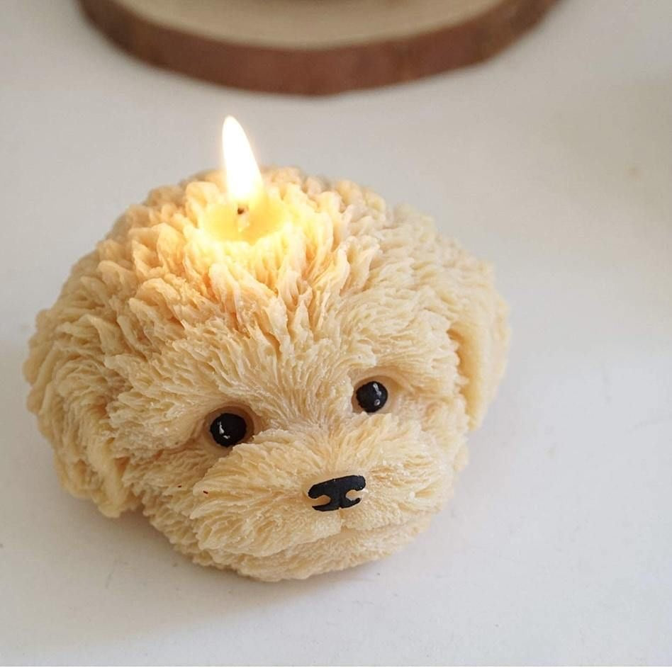 Cute Bichon Dog Candles