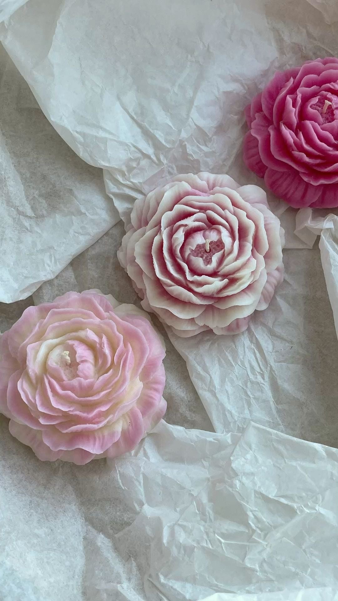 Rose Peony Candles