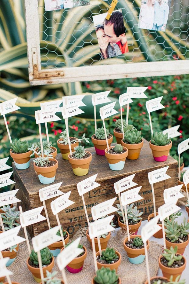 Succulents Plants Return Gifts/Favours