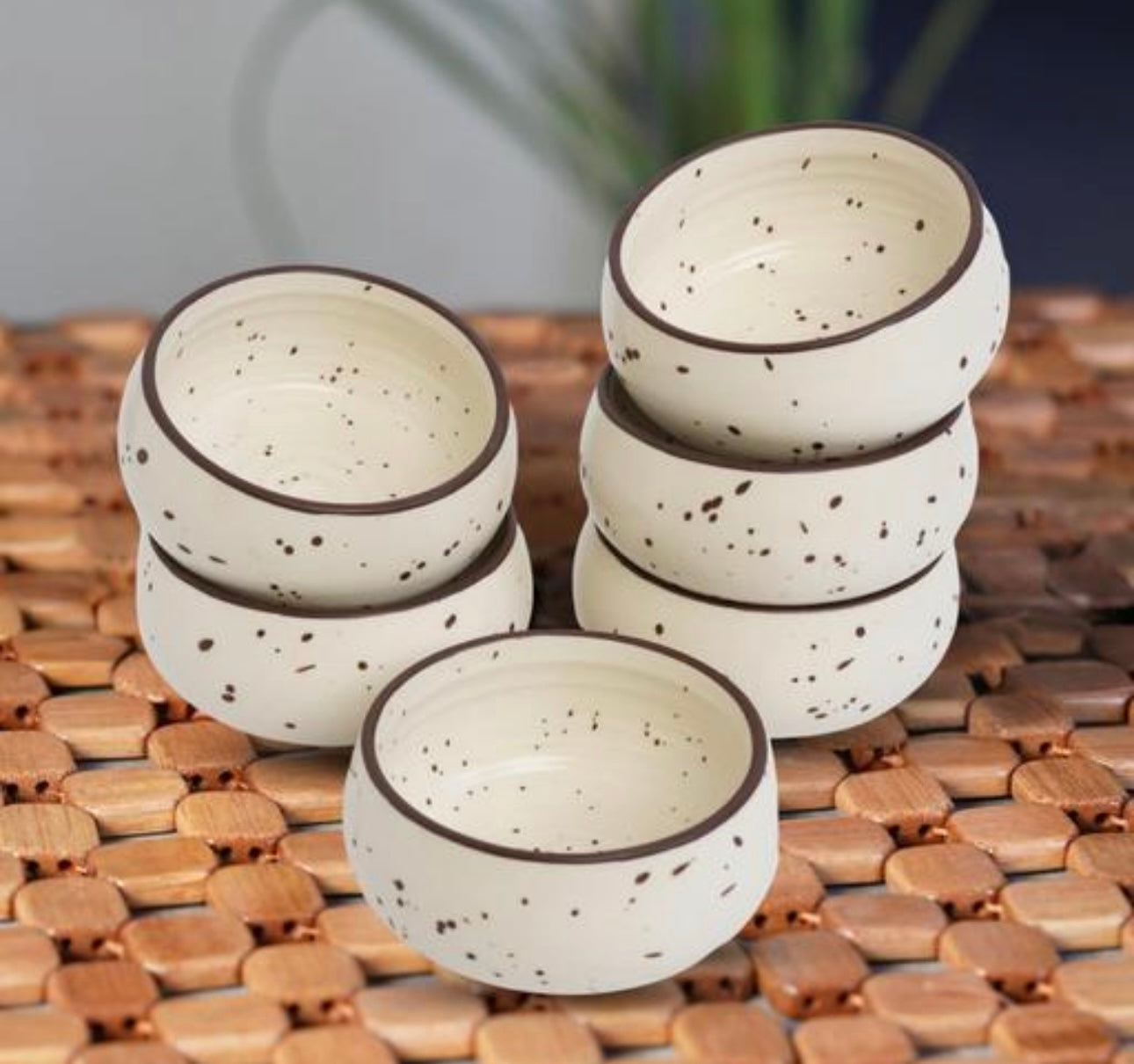 Elegant Stoneware Ceramic Bowls Set