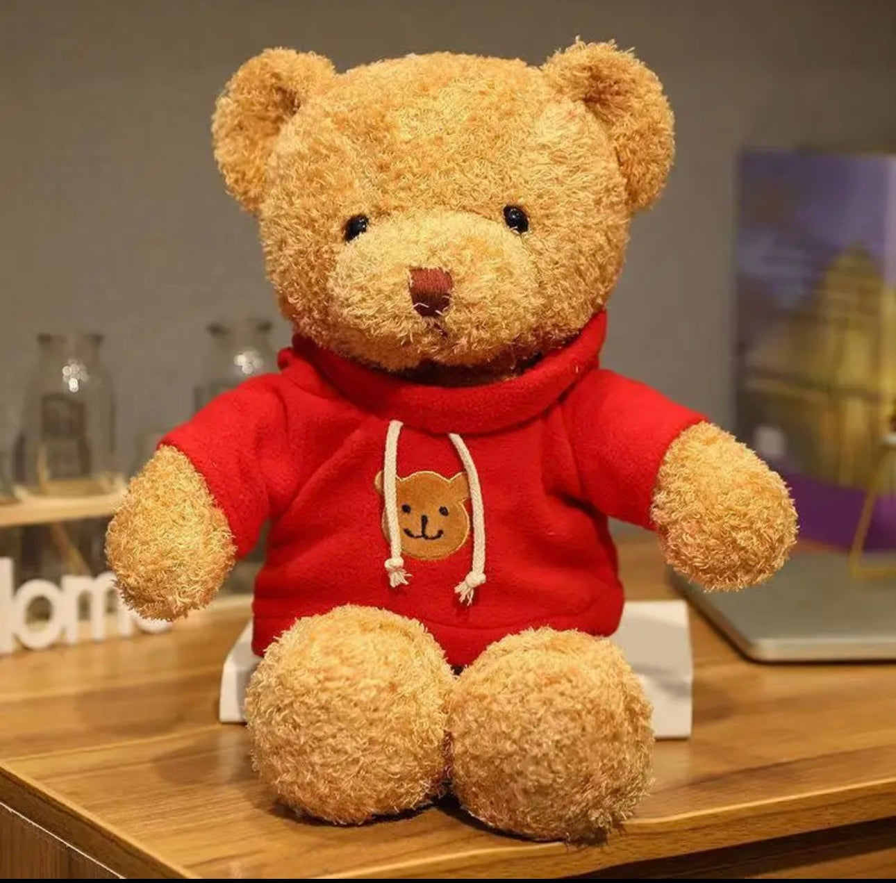 Premium Cute Huggable Plush Teddy With Hoodie