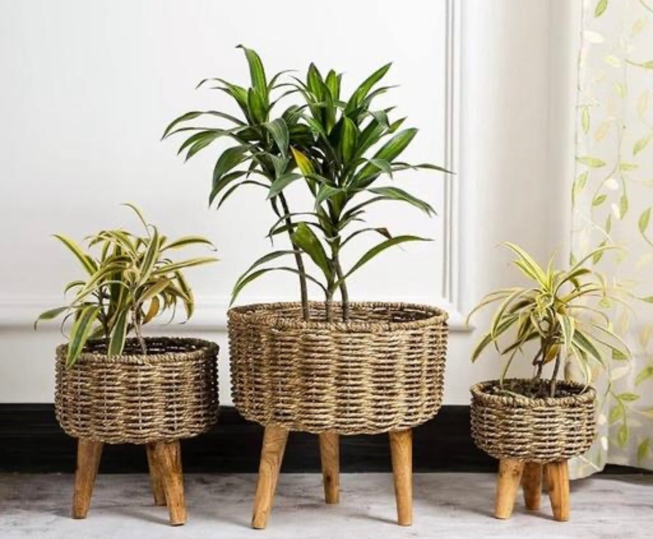 Natural Bamboo Wicker Planters - Set of 3