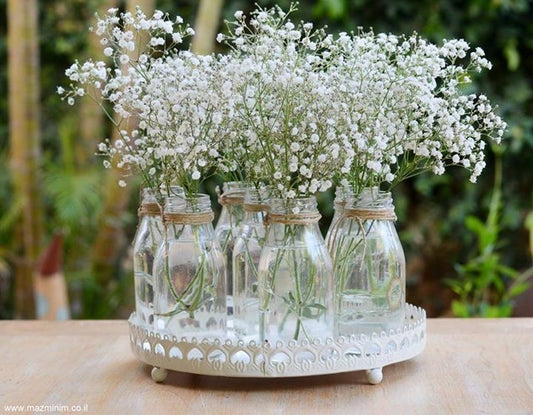 Mini Vase with Dried Baby’s Breath Flowers