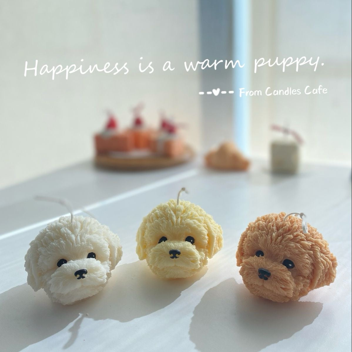 Cute Bichon Dog Candles
