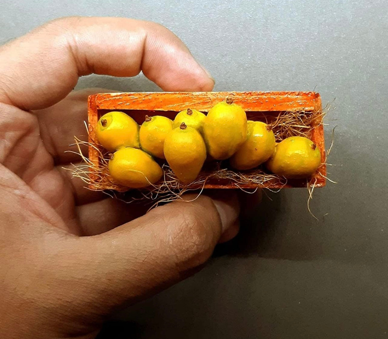 Mango Basket Miniature Fridge Magnet