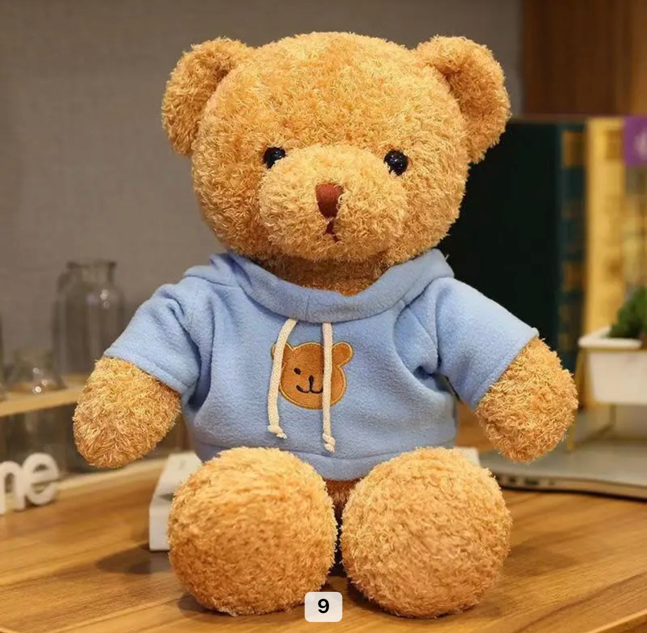 Premium Cute Huggable Plush Teddy With Hoodie