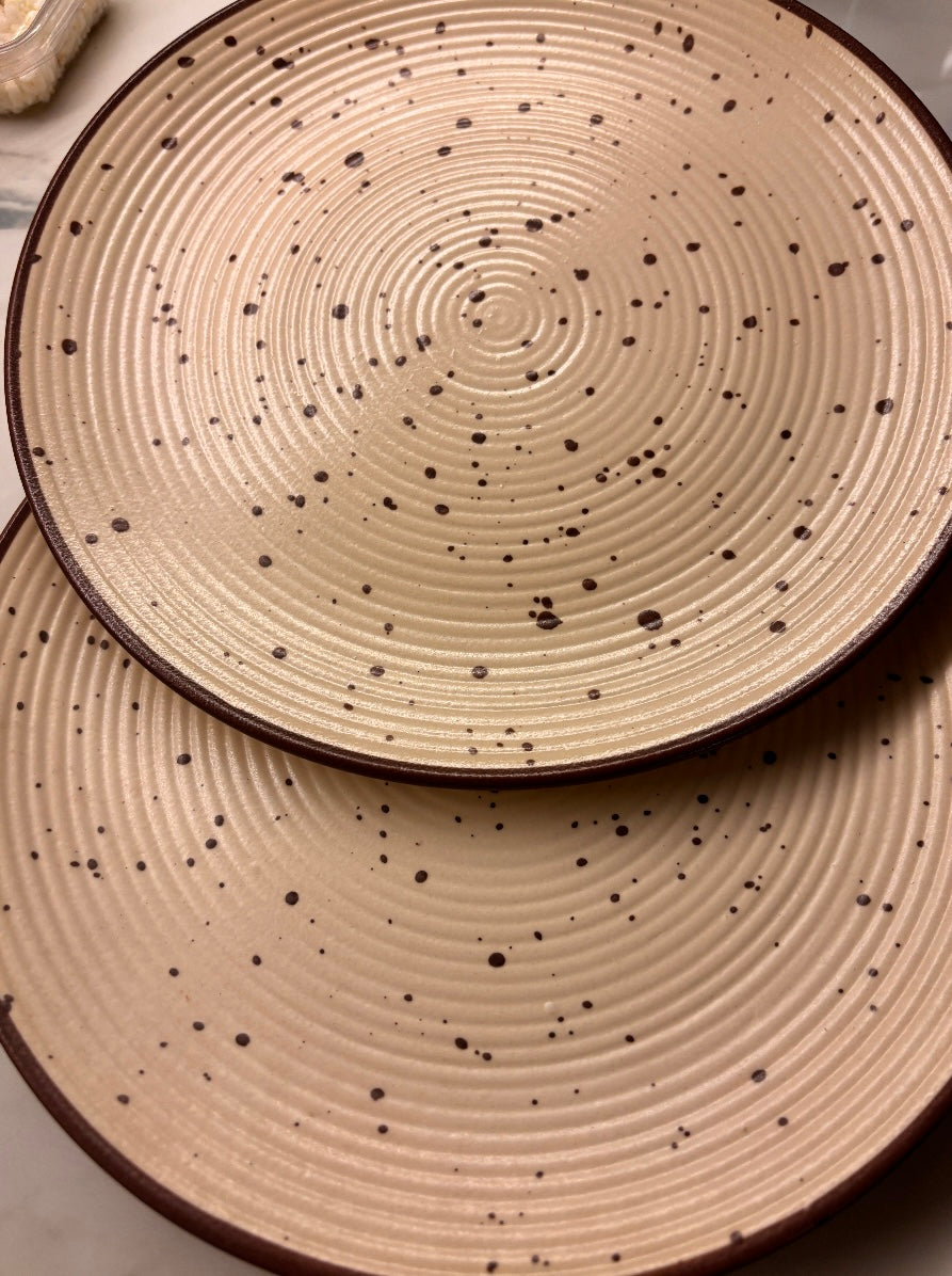 Classic Stoneware Dinner Plates Set of 2