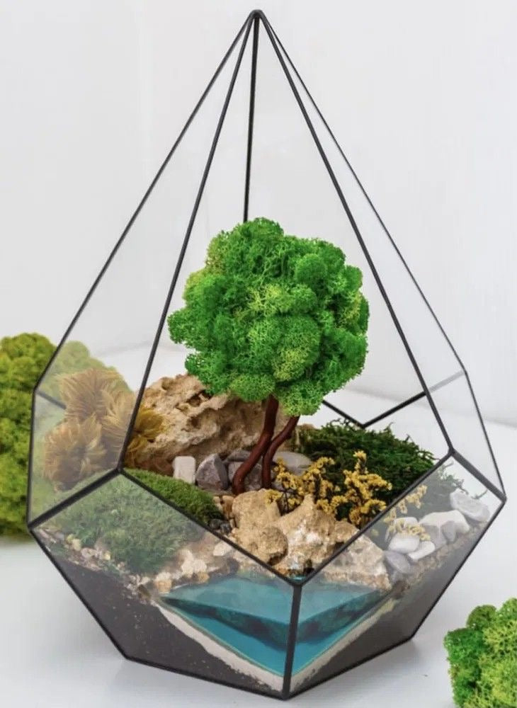 Antique Brass Terrarium - Black