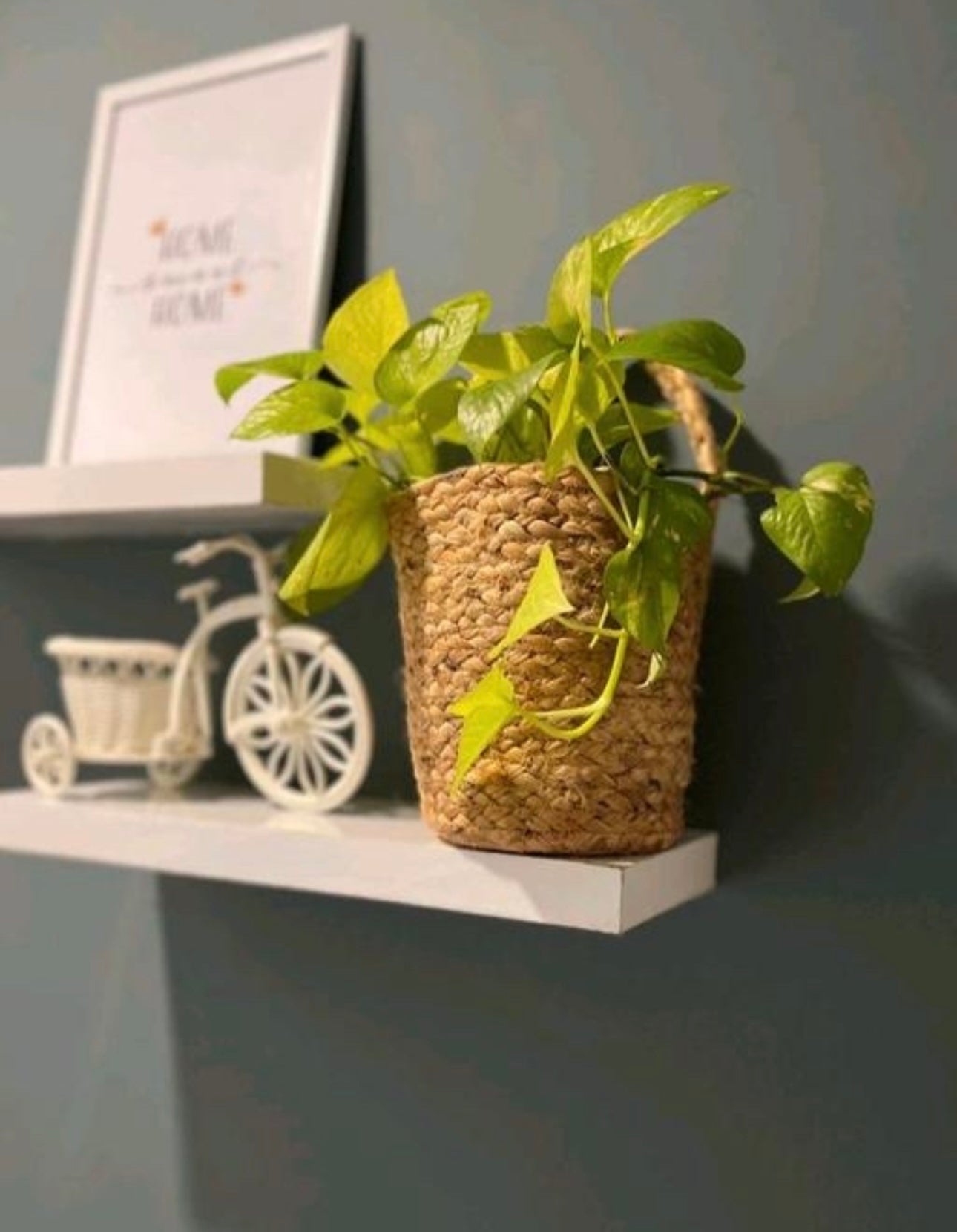 Elegant Hanging Jute Planters - Set of 2