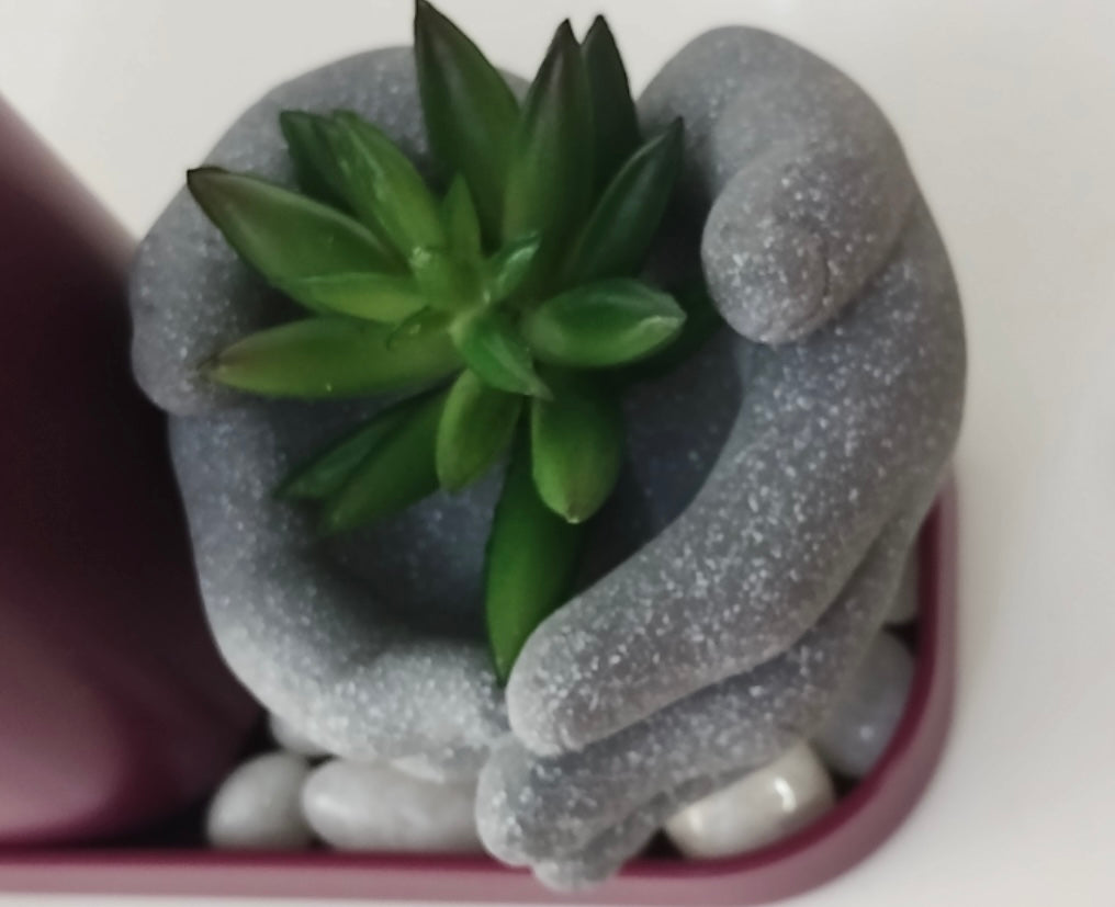 Unique Hands Succulents Planter