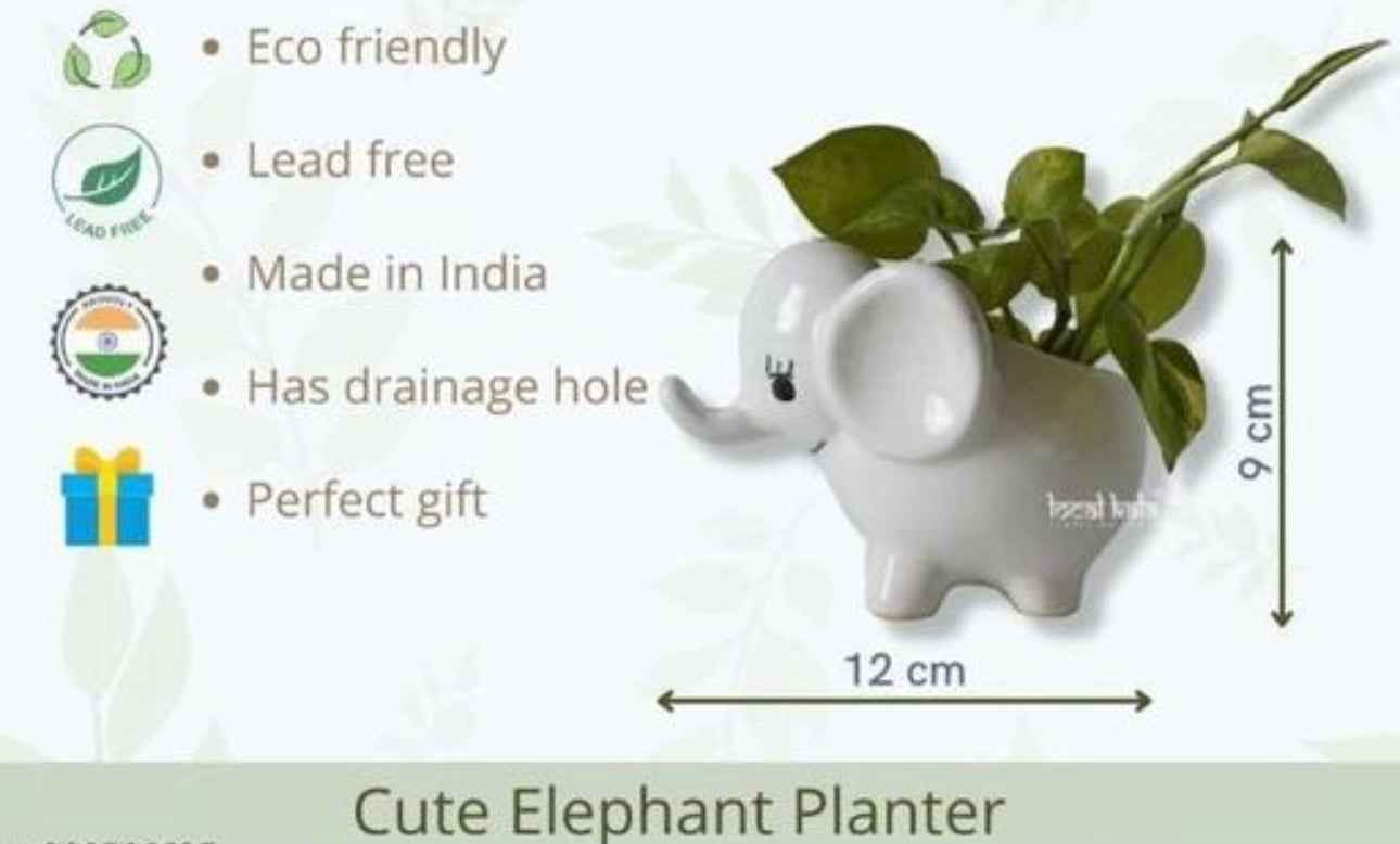 Cute elephant shaped planter