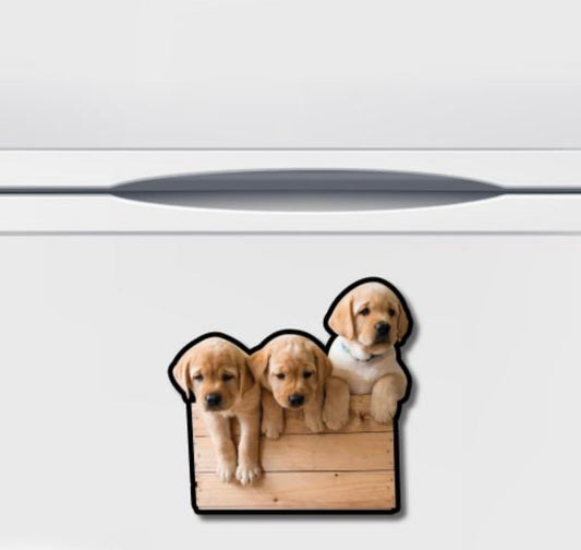 Cute Puppies Miniature Fridge Magnet