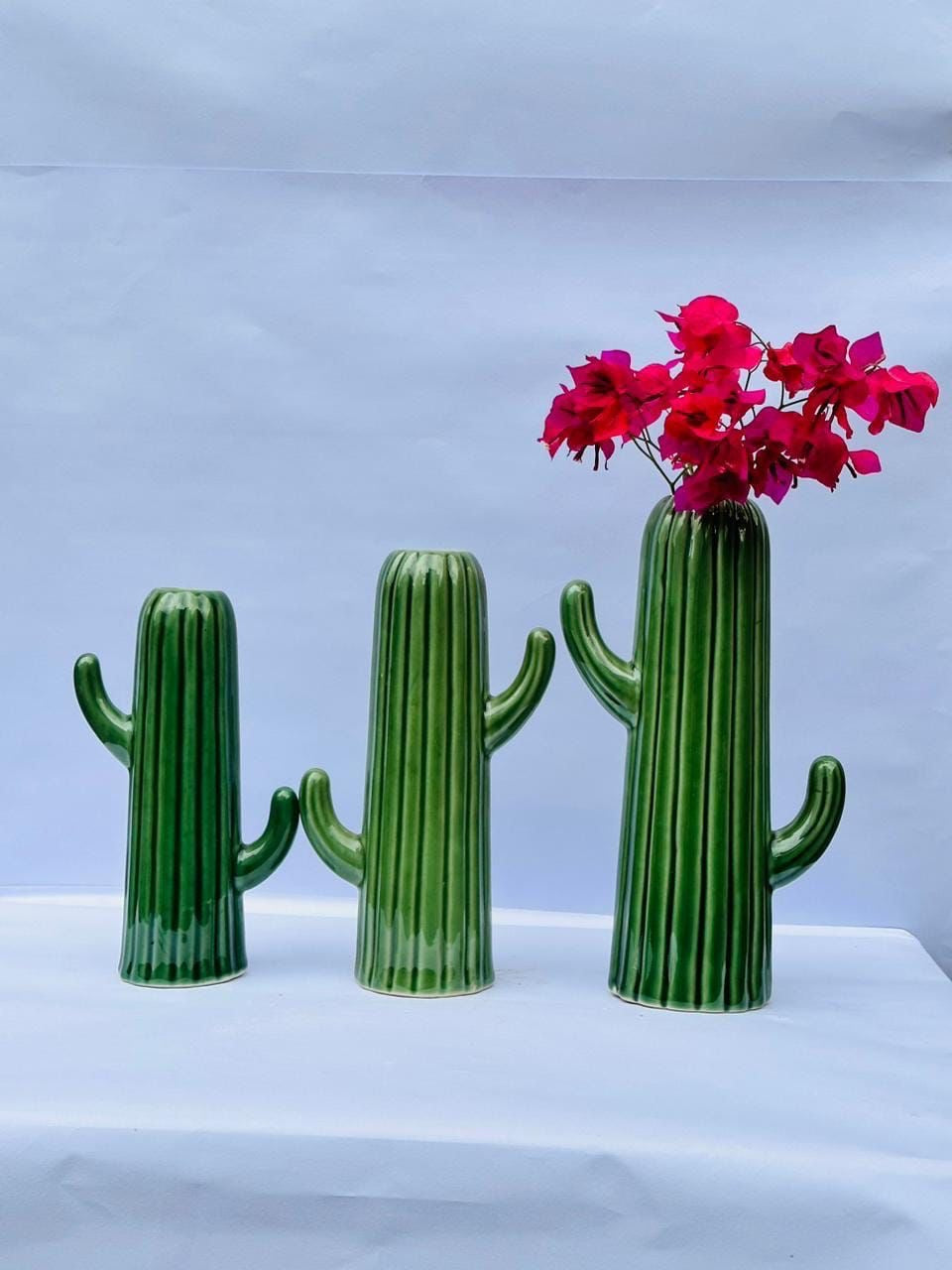 Cactus Decorative Vases - Set of 3