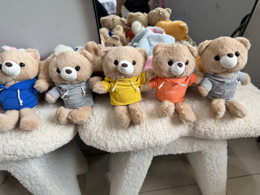 Adorable Teddy with Hoodie Plushy Keychain/Bag Charm (Random Color)