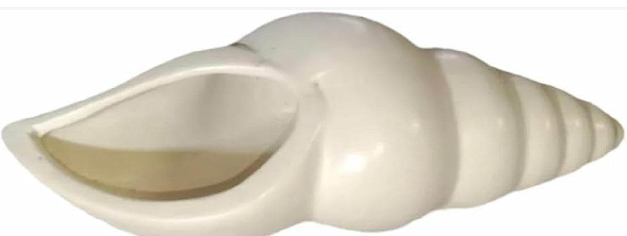 Ceramic Decorative Wall Hanging Shell Conch Planter