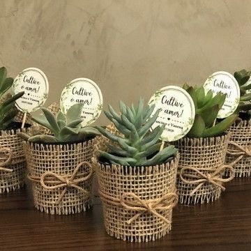 Plants Return Gifts/Favours