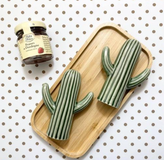 Cute Cactus Salt & Pepper Shaker Set