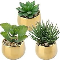 Small Gold Indoor Planters - Set of 2