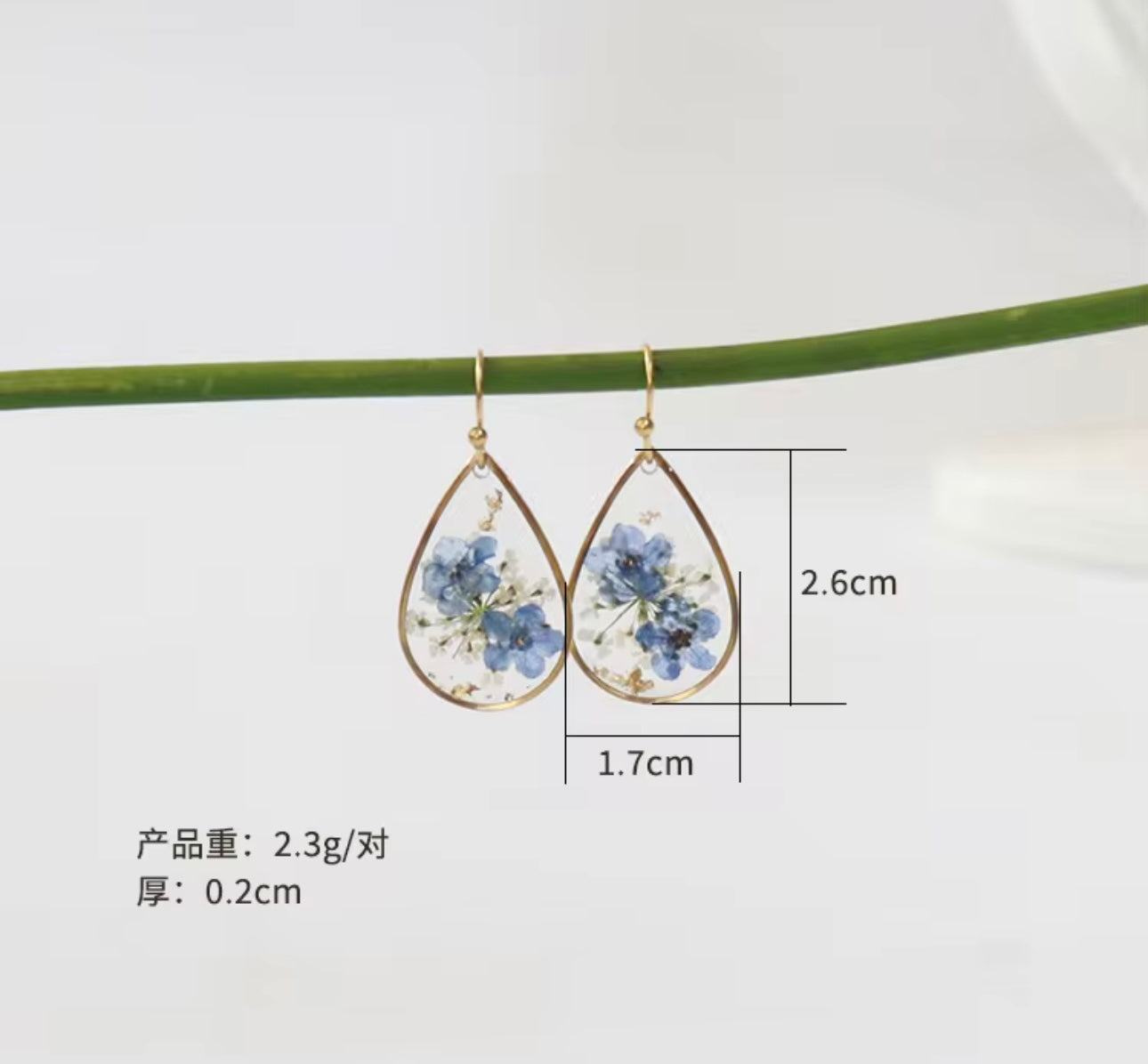 Earrings with Real Forget-Me-Not Pressed Flowers