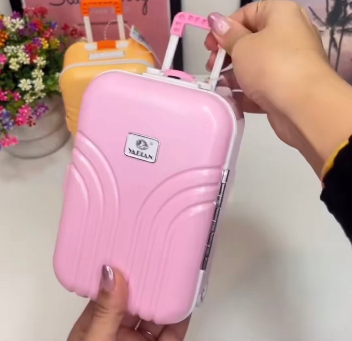 Mini Suitcase/Luggage Trolley Bag