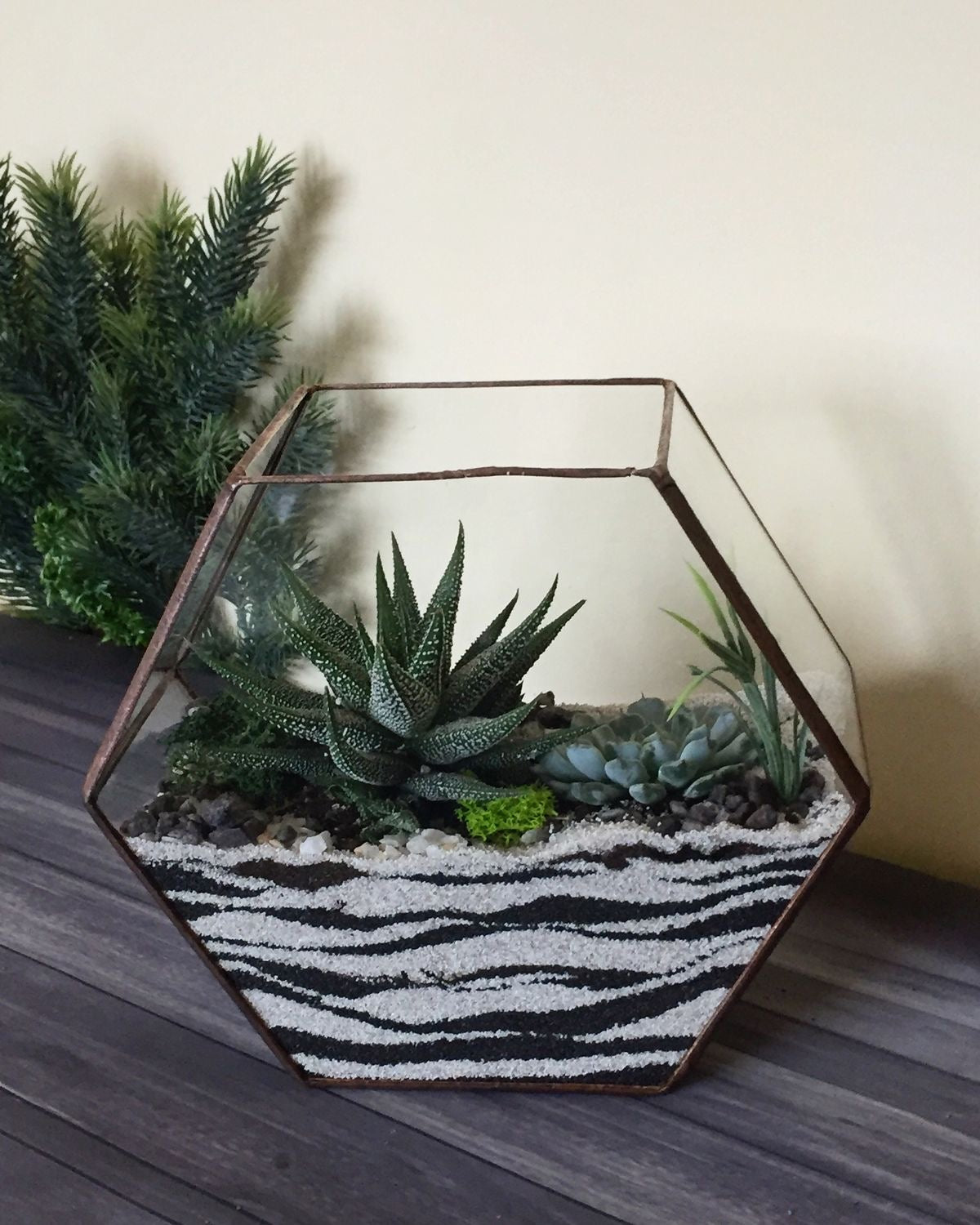 Table Top Glass Terrarium - Hexagon