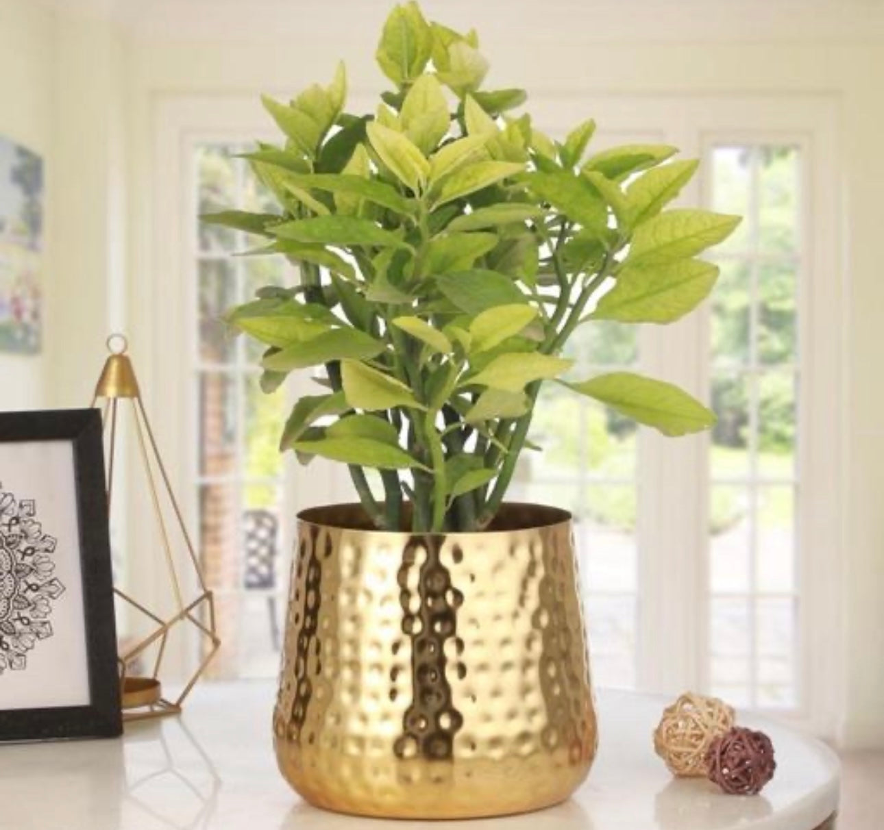 Decorative Hammered Gold Indoor Planter