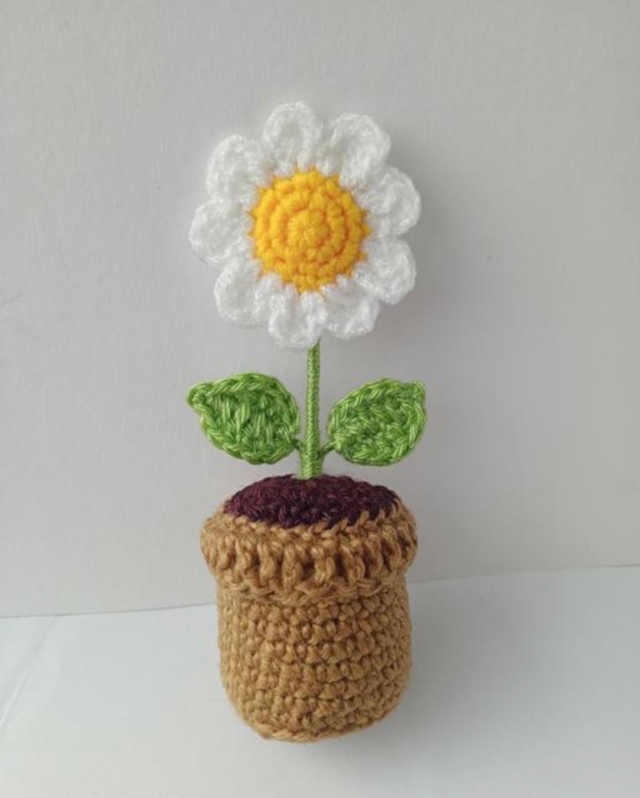 Crochet Daisy Plant Pot