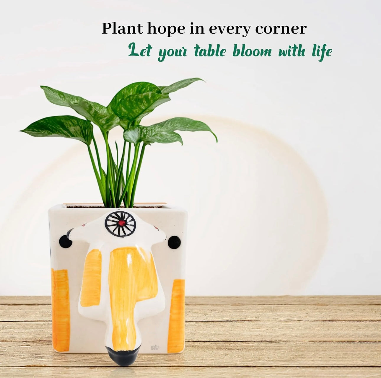 Decorative Scooter Shape Quirky Planter