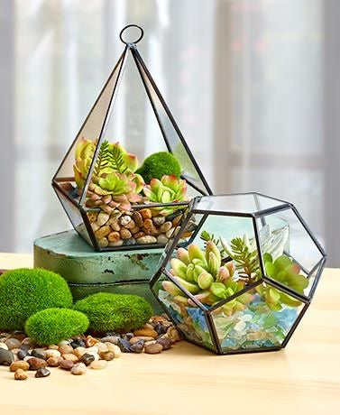 Geometric Table Top Glass Terrarium